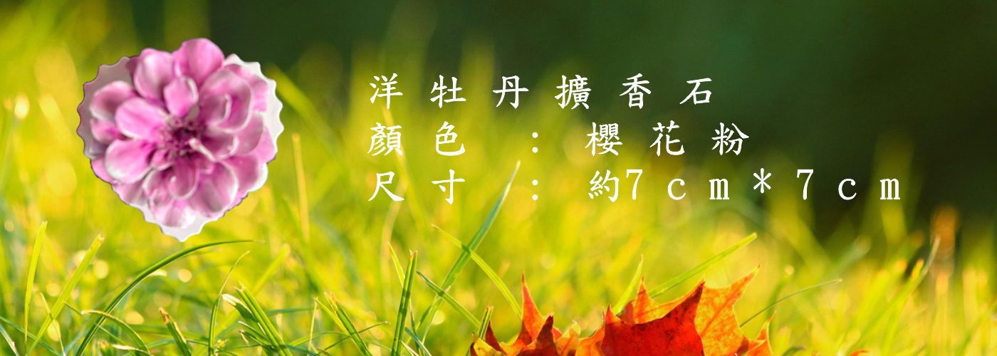 精油擴香石